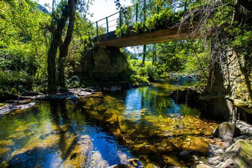 Hotel Rural Casa Cueto Infiesto Εξωτερικό φωτογραφία