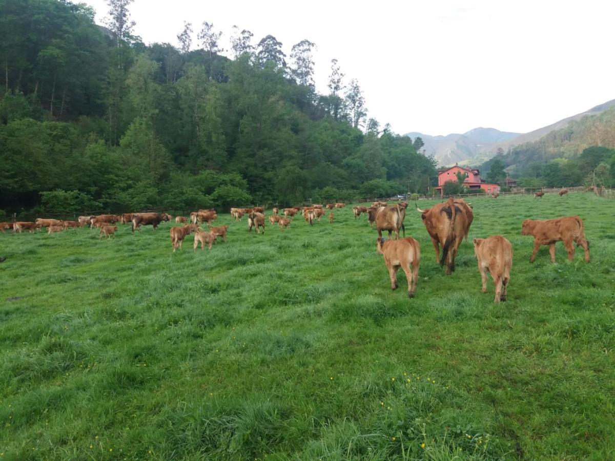 Hotel Rural Casa Cueto Infiesto Εξωτερικό φωτογραφία